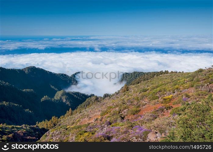 Landscape of the sea of clouds viewed from the top of La Palma island, Canary island, Spain.
