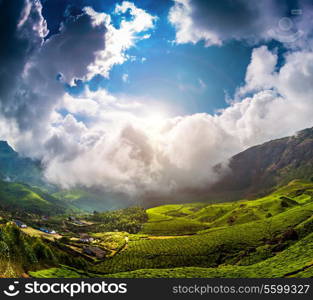 Landscape of the tea plantations in India, Kerala Munnar.