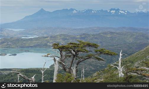 Landscape of the Torres del Paine National Park, Chile, South America