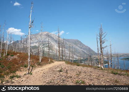 Landscape of the Waterton Lakes National Park with blue sky, Alberta, Canada