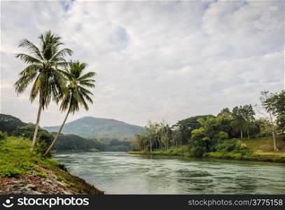 Landscape of tropical river