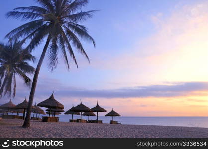 Landscape of umbrella and palm trees on beach at sunrise