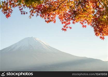 Landscape of view the Mount Fuji and Bright red maple leaf frame Kawaguchiko In the morning is a tourist attraction of Japan. In a small town