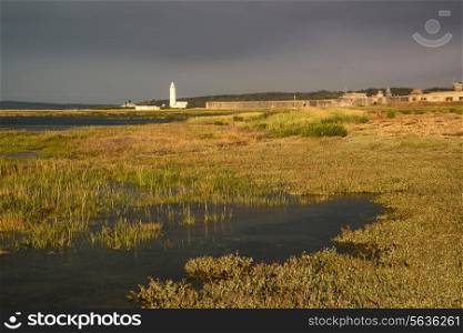 Landscape of wetlands during stormy sky sunset towards lighthouse