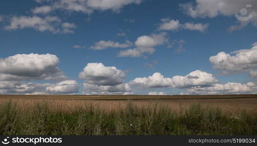 landscape of wheat field at harvest. landscape of wheat field at harvest.