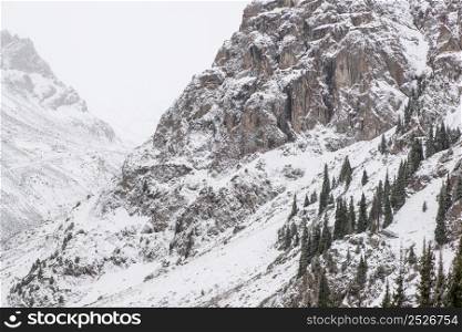 landscape of winter rocky mountains with fog. snowy mountains with trees