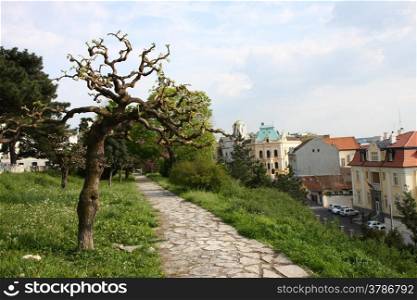 Landscape on Belgrade fortress Kalemegdan,Serbia