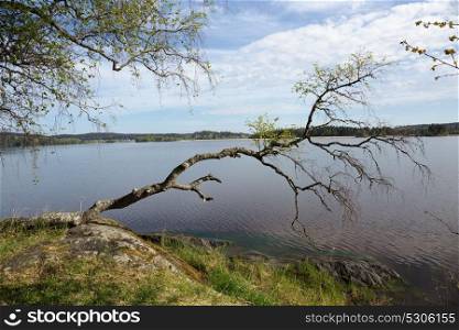 landscape on the shore of a lake in Karelia. Picturesque landscape on the shore of a lake in Karelia