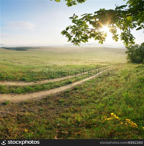 Landscape panorama. Composition of nature.