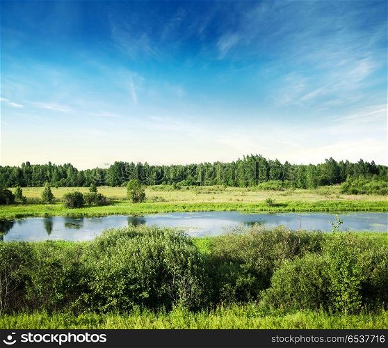 Landscape panorama outdoor. Landscape panorama. Autumn evening meadow and forest. Landscape panorama outdoor