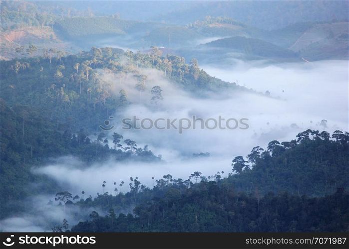 landscape photo, sea fog on the mountain hills