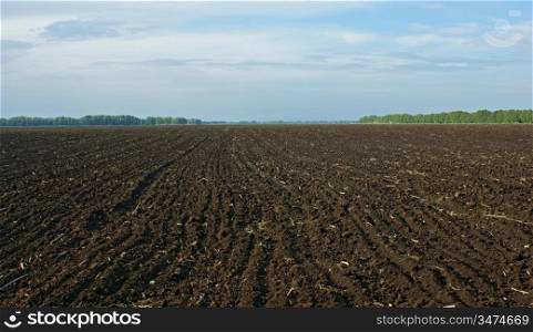 landscape plowed field