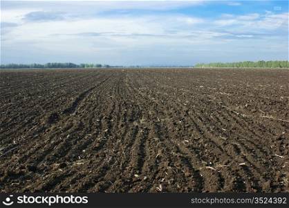 landscape plowed field