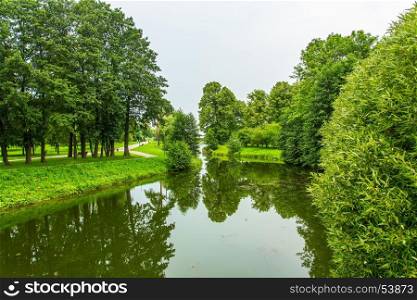 Landscape. Reflection of trees in the surface of a forest river