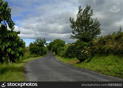 landscape road in sao miguel island, azores
