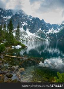 Landscape scenery with high snowy mountains and lake with forest and one pine underwater vertical panorama
