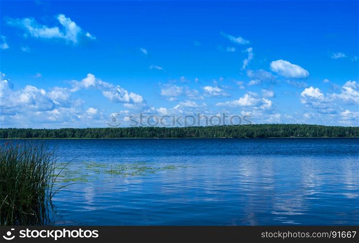 Landscape shore of the forest lake. A natural landscape with a lake and clouds.