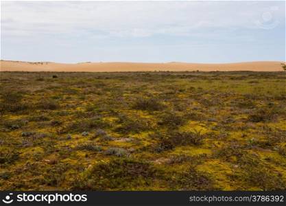 Landscape taken from the Corrubedo dune in the province of Pontevedra Spain