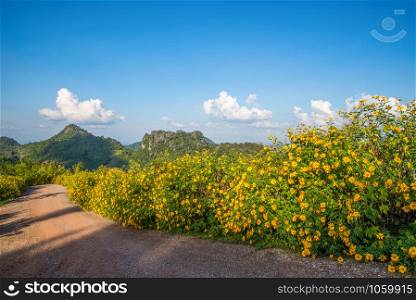 Landscape Thailand beautiful mountain scenery view on hill with tree marigold flower field yelllow and dirty road