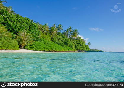 Landscape tropical trees against the background of turquoise water of the ocean