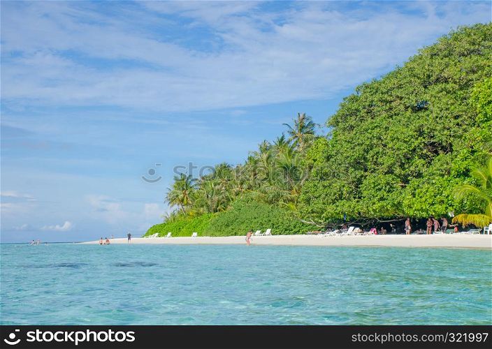 Landscape tropical trees against the background of turquoise water of the ocean