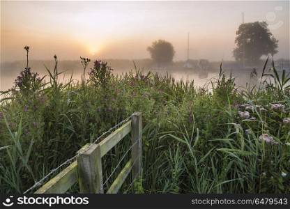 Landscape view across field to foggy River Thurne during glowing. Landscapes. Landscape view across field to foggy River Thurne at sunrise in Summer