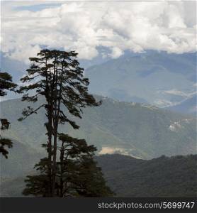 Landscape view Bhutan, Thimphu, Timphu district, Dochula Pass