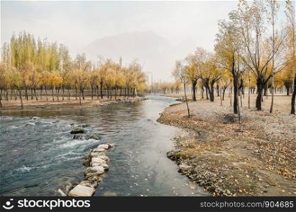 Landscape view of autumn foliage with flowing Hargisa river and cloudy mountain behind the morning fog. Skardu, Gilgit Baltistan, Pakistan.
