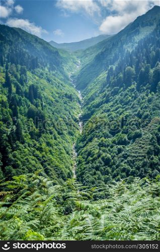 Landscape view of Ayder Plateau in Rize,Turkey.Ayder Valley is popular destination for summer tourism.. Landscape view of Ayder Plateau in Rize,Turkey