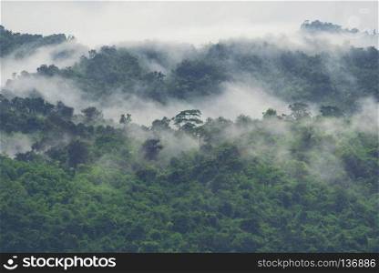 landscape view of forest in Thailand, tropical forest
