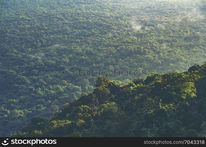 landscape view of Khao Yai tropical forest in Thailand, nature image for use about background or wallpaper
