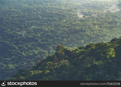 landscape view of Khao Yai tropical forest in Thailand, nature image for use about background or wallpaper