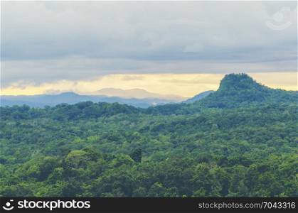 landscape view of nature scene, the western forest complex in Thailand, world heritage site, use for background and wallpaper
