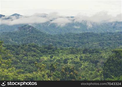 landscape view of nature scene, the western forest complex in Thailand, world heritage site, use for background and wallpaper