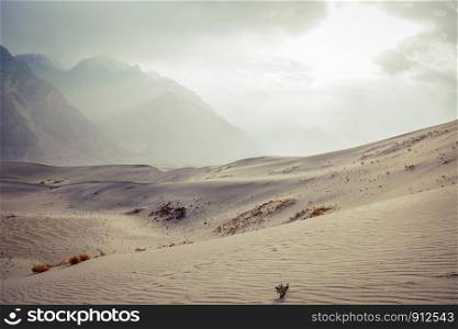 Landscape view of Sarfaranga Katpana Cold Desert against snow capped mountain range and cloudy sky in Skardu. Gilgit Baltistan, Pakistan.