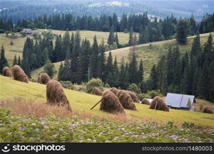 landscape. view of stacks with Karpatian hills at background. Vorokhta, Ukraine