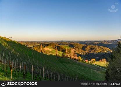 Landscape view of sunrise over the the vineyards an the valleys of Slovenia south Styria Austria Libenitz area.. View over the the vineyards an the foggy valleys of slovenia south Styria Sustria Libenitz