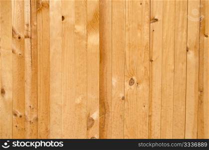 Landscape view of texture of pine wood background.