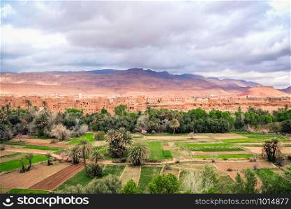 Landscape view of Tinghir city in the oasis, with cultivation field and Atlas mountain. Morocco.