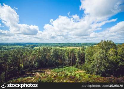 Landscape view over trees and green meadows in blue sky