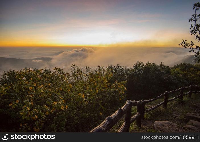 Landscape view point looking for foggy mist cover forest and beautiful sunrise colorful sky with fence on cliff and flower tree