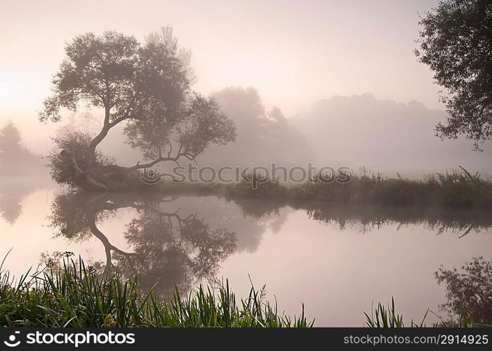 Landscape viiew across foggy river at sunrise