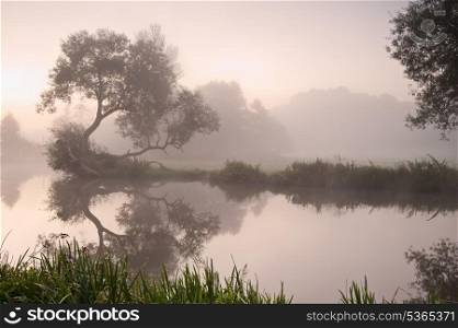 Landscape viiew across foggy river at sunrise