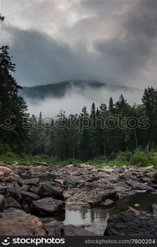 landscape wildlife. forest, mountain and river. Ural