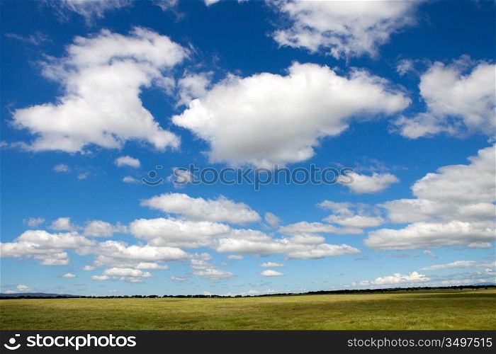 Landscape with a beautiful blue cloudy sky