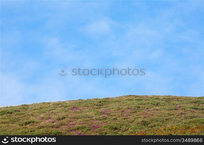 Landscape with a nice blue sky green field