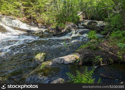 Landscape with a river in the forest of Karelia