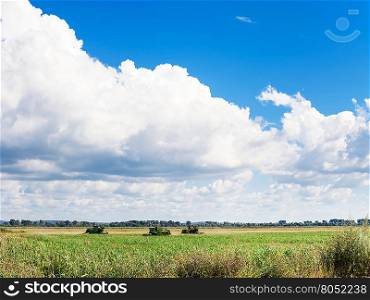 landscape with agrarian field and blue sky with white clouds in summer season Kuban, Russia