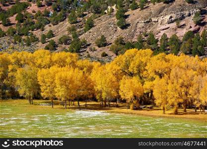 Landscape with autumn trees. Rocky Mountains, Colorado, USA. 