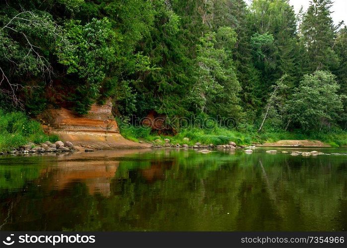Landscape with cliff near the river Gauja and forest in the background. The Gauja is the longest river in Latvia, which is located only in the territory of Latvia. 

